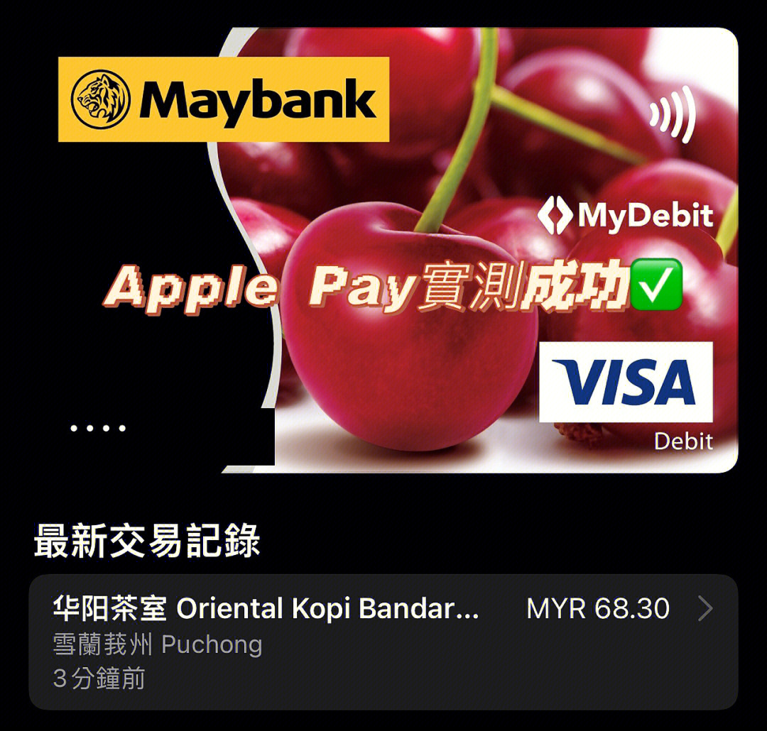 苹果手机钱包怎么下载_用钱包苹果下载_苹果手机可以下载tp钱包吗