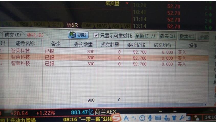 TP钱包看行情，精准分析帮您把握投资良机