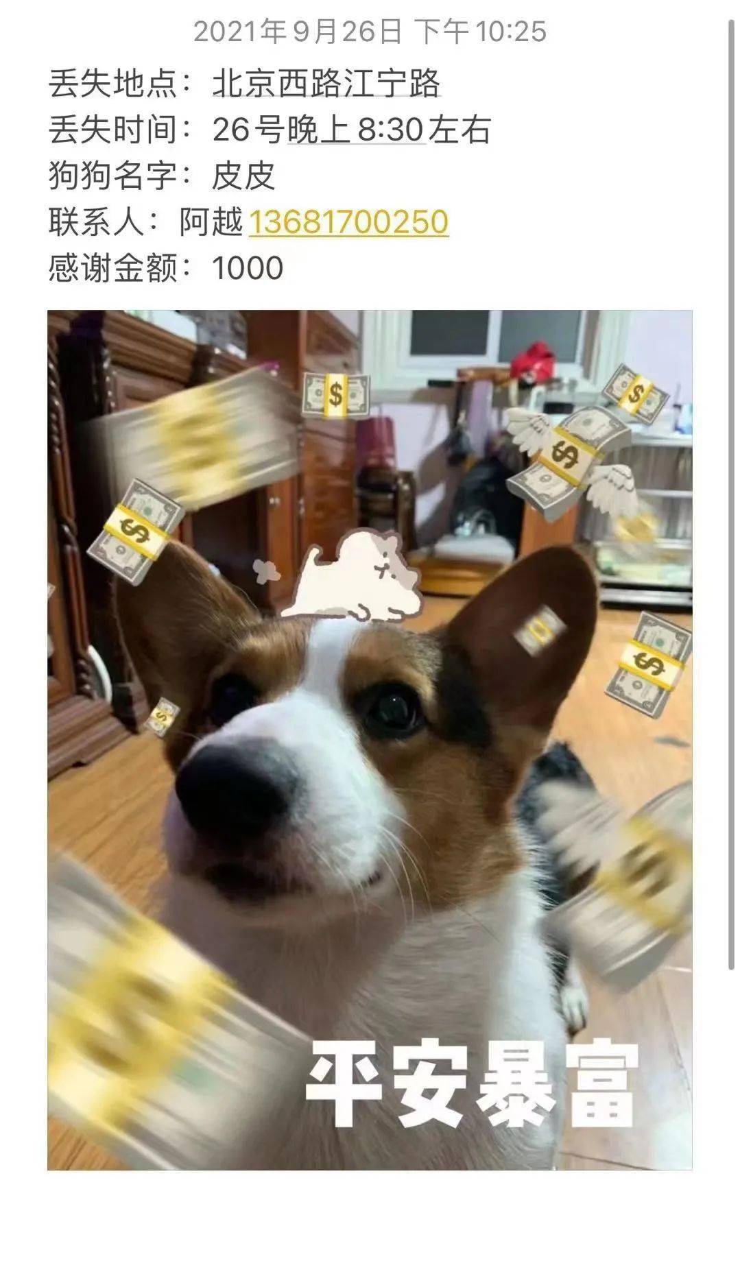 金钱包是什么_金钱包是哪个公司_tp钱包链接不上金金狗