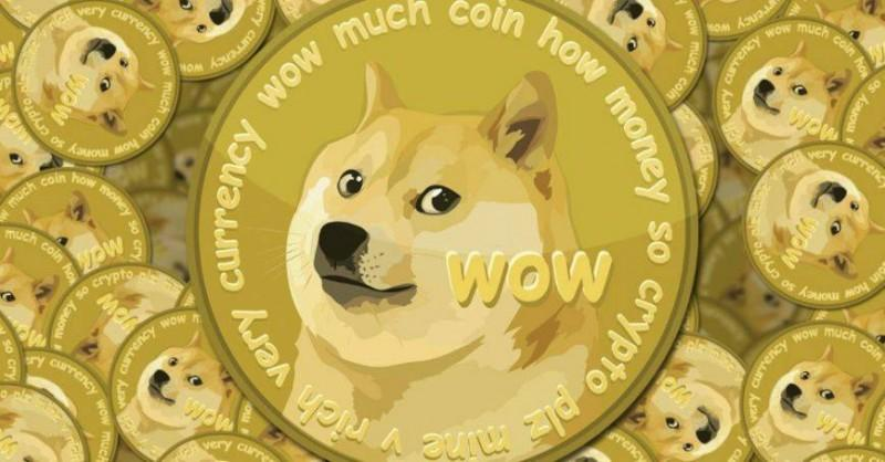 tp钱包使用教程怎么存狗狗币_狗狗币钱包怎么取出狗狗币_狗狗币钱包dogecoin