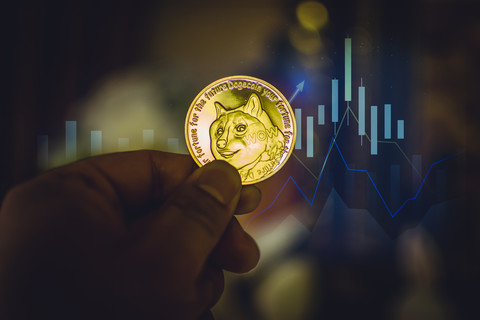 tp钱包使用教程怎么存狗狗币_狗狗币钱包怎么取出狗狗币_狗狗币钱包dogecoin
