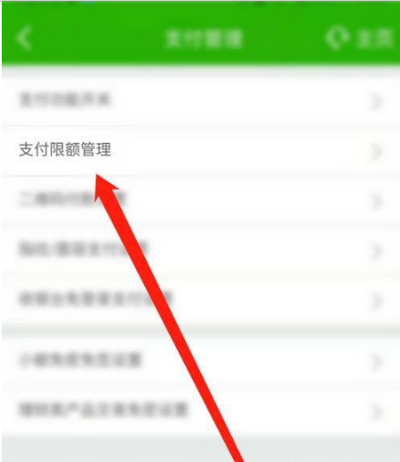 钱包薄饼怎么设置中文_tp钱包薄饼设置中文_tp钱包薄饼教程