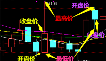 tp钱包在哪里看k线图_钱包图形_钱包怎么看k线