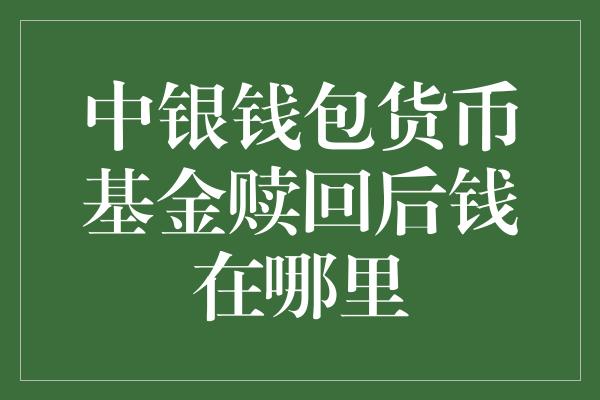 钱包项目有哪些比较出名_钱包项目_tp钱包资金池是什么意思