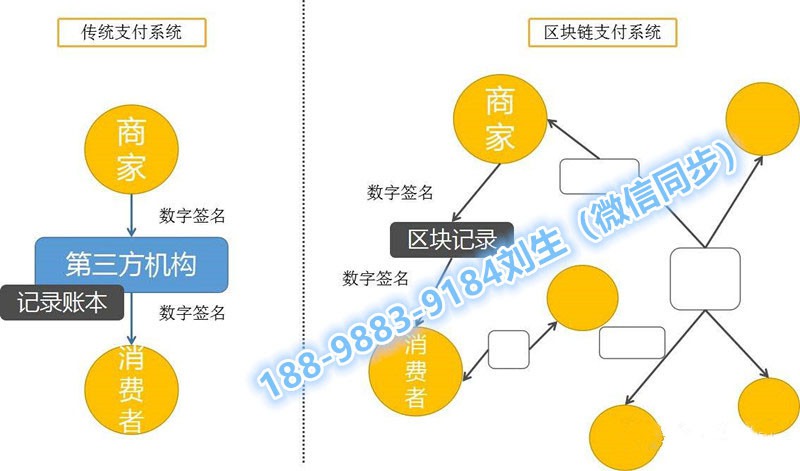 tp钱包是哪里开发的-揭秘tp钱包开发：用户需求至关重要