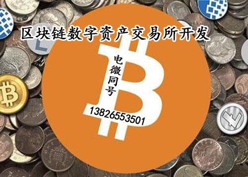 tp钱包是哪个公司开发的-数字货币新宠：tp钱包，让你的投资更安全更便捷