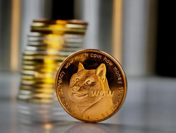 dogecoin狗狗币钱包_tp钱包 狗狗币网络_狗币钱包app