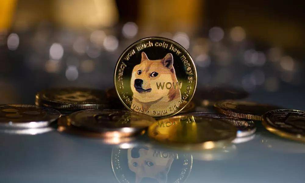 tp钱包怎么存狗狗币_狗狗币钱包安装教程_狗狗币钱包dogecoin