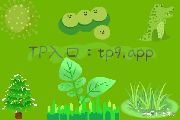 tp钱包如何切换账号登录_tp钱包换手机登录_tp钱包怎么切换账号