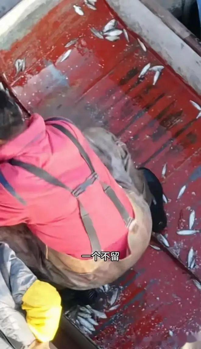 tp钱包被盗报警有用吗_钱包被盗报警有用吗_钱包被盗了