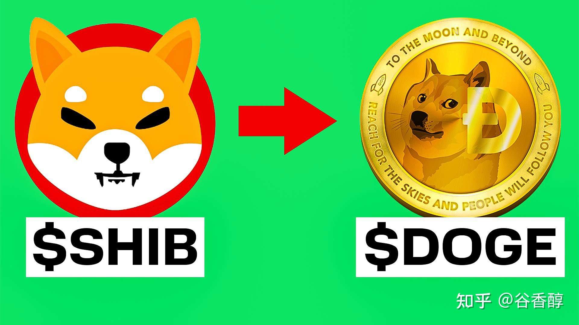 tp钱包doge_钱包英语_钱包怎么折