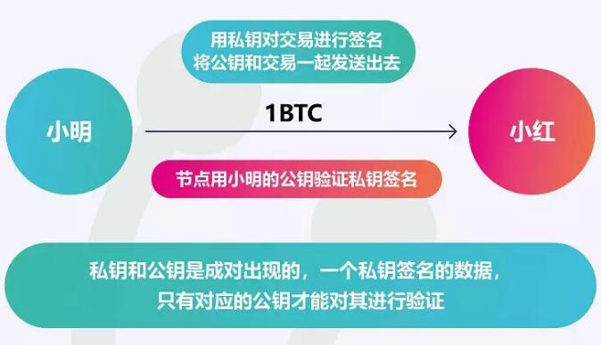 钱包公钥和私钥的区别_钱包公钥图片_tp钱包公钥在哪里