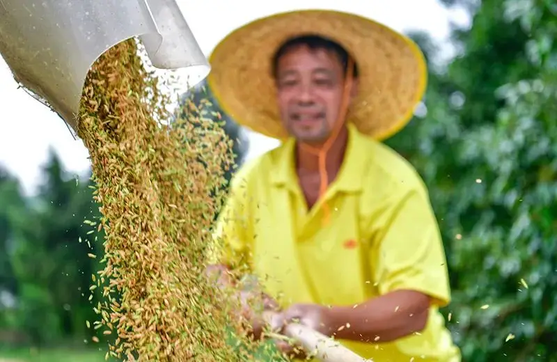 tp钱包怎么转账没有记录-TP 钱包转账无记录，用户焦虑寻求解决方案