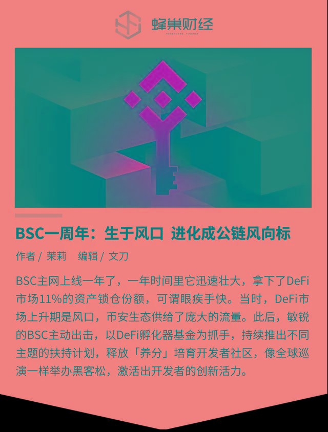 bsc链上钱包_tp钱包怎么添加bsc链_钱包链名称