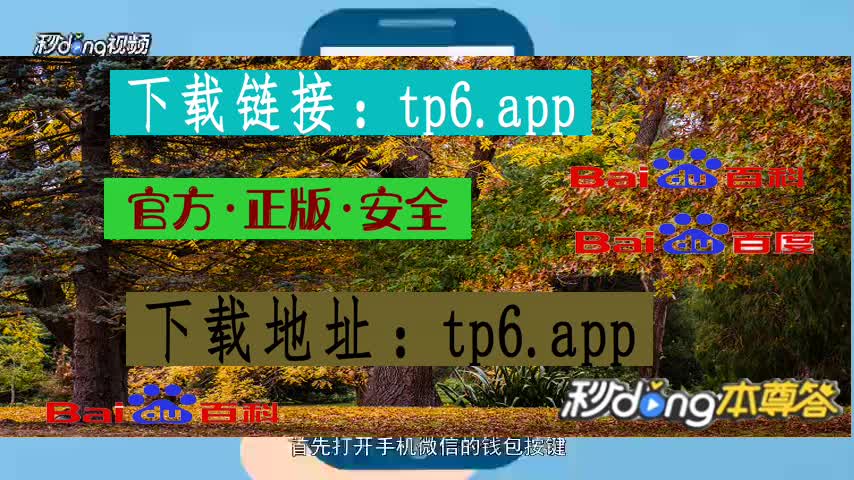 钱包登录不了_钱包登录密码忘记怎么找回_tp钱包登录