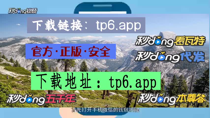 tp钱包网页调试-tp 钱包网页调试：一段让人又爱又恨的寻宝之旅