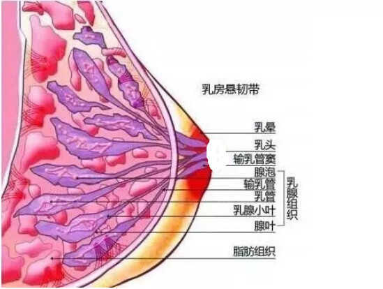 钱包会倒闭吗_tp钱包会清退吗_钱包会不会跑路