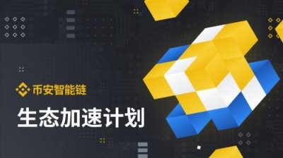 tp钱包怎么弄币安智能链_币钱包安全吗_binance智能链钱包