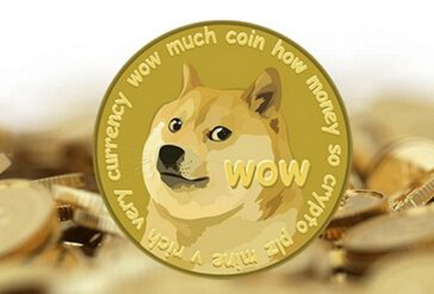 钱包英语_tp钱包 doge_doge表情包百度贴吧