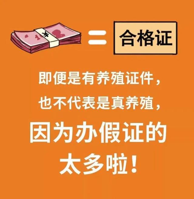 tp钱包转钱包_支付宝转微信钱包_钱包转银行卡怎么转