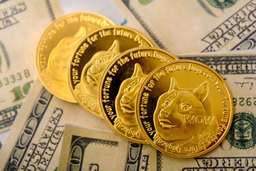 dogecoin狗狗币钱包_狗狗币钱包地址怎样查询区块_tp钱包狗狗币地址