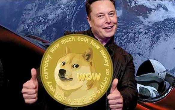 dogecoin狗狗币钱包_tp钱包 狗狗币网络_狗狗币钱包使用教程