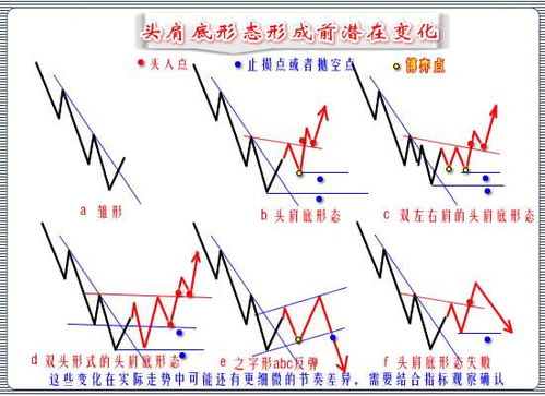 形态变化