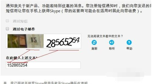 如何看自己skype的账号密码是什么,轻松找回您的登录凭证