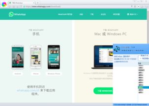 如何电脑登陆whatsapp,电脑登录WhatsApp全攻略
