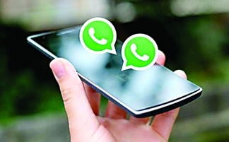 美国人自己常用whatsapp吗,美国用户使用WhatsApp的现状与趋势分析