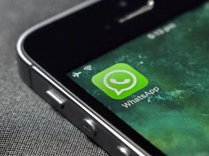 南非whatsapp电话区号,南非WhatsApp电话区号解析与应用指南