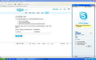 如何破解skype密码是什么意思,技术手段与风险警示