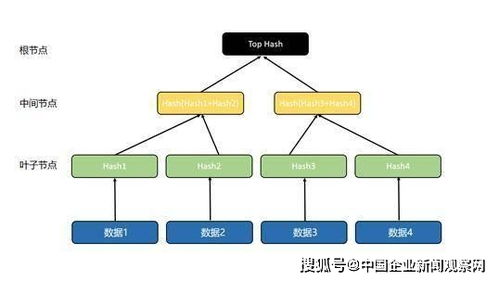 区块链哈希引用,哈希函数在数据安全与不可篡改性中的核心作用
