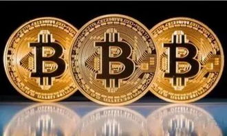 碳汇 比特币,绿色金融的未来交汇点