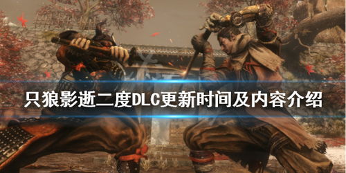 孤狼游戏 