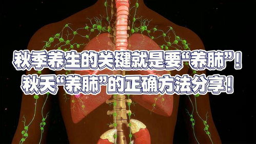 泡泡大作战游戏手机游戏 