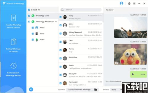 whatsapp联系人导出,社交圈概览与互动亮点