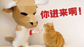 爪子大清洁 