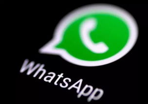 whatsapp单勾表示什么,沟通中的微妙信号