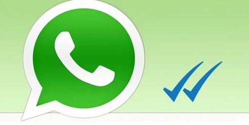 whatsapp是用流量的吗,流量消耗背后的即时通讯秘密