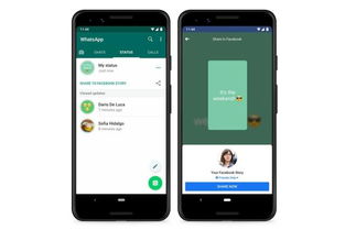 whatsapp我的动态失败,揭秘原因及解决方案