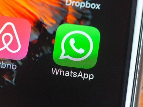 whatsapp成品,跨越国界的即时通讯巨头