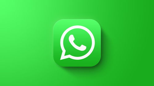 whatsapp有没有勿扰模式,畅享无干扰沟通体验