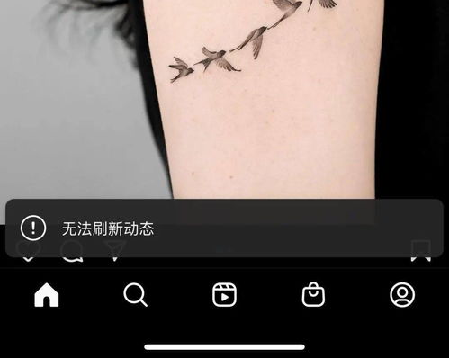 whatsapp传不了图片,揭秘原因及解决方案