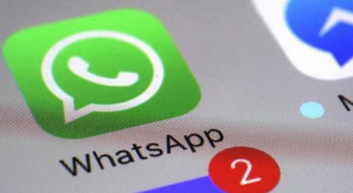 whatsapp视频发送不了,揭秘无法发送视频的常见原因及解决方案