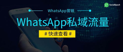 whatsapp私域流量入门教学,入门实战攻略