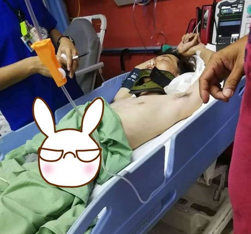 最强弹一弹小游戏 