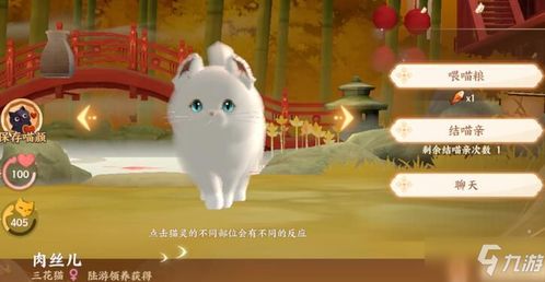 泡泡大作战游戏手机游戏 