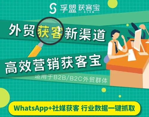whatsapp获客宝,揭秘高效社交营销新利器