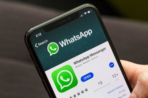 Whatsapp群聊两个勾,揭秘社交新趋势的密码”